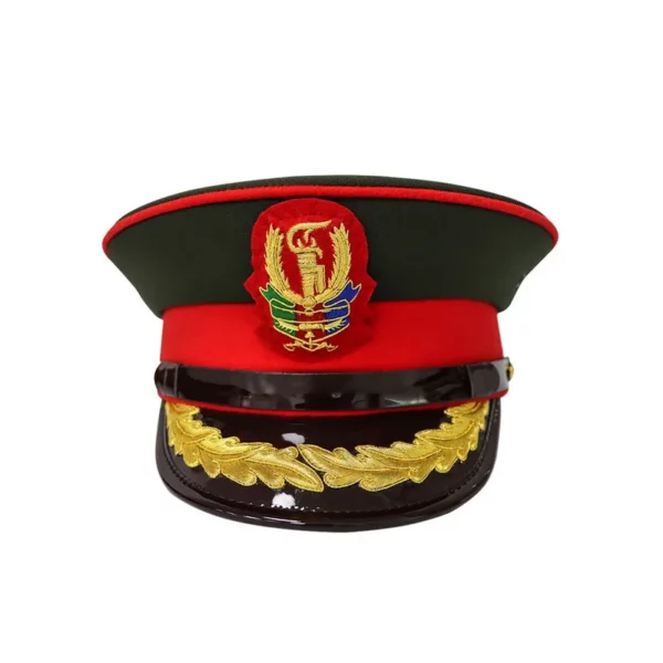 PVDA060 B 1