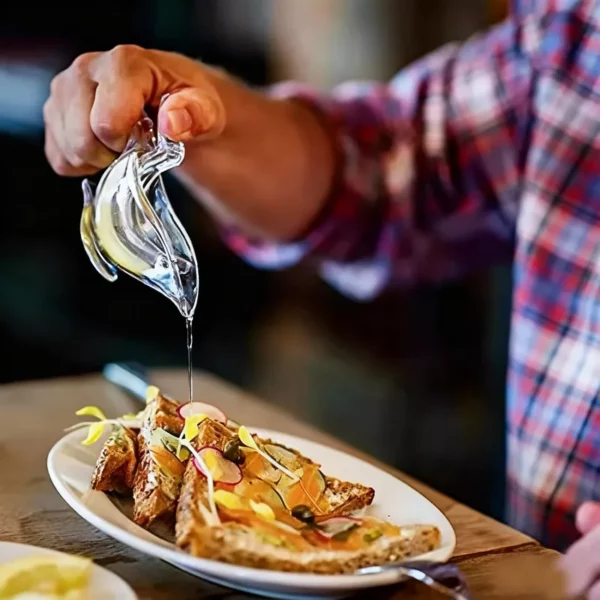 PVSO100 1 1