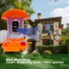 PVSO217_1 PVSO217 1 1